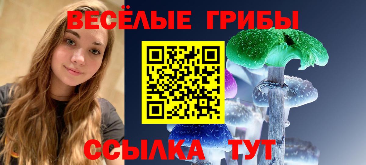 Псилоцибиновые грибы Psilocybine cubensis  Псилоцибиновые грибы мухоморы  Вход с VPN  Рославль 